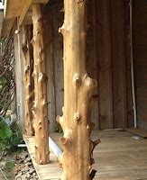 Image result for Cedar Supports