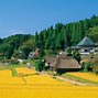 Image result for Thailand Houses for Sale