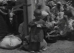 Image result for Korean War Crimes Vietnam
