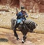 Image result for 7th Cavalry Mounted