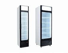Image result for Upright Freezer with Ice