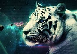 Image result for Cool Tiger Profile Pic