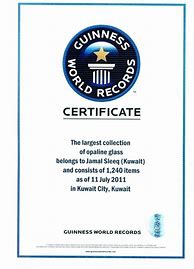 Image result for Guinness Book of World Records Certificate
