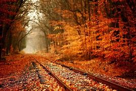 Image result for 3D Fall Wallpaper for Kindle Fire