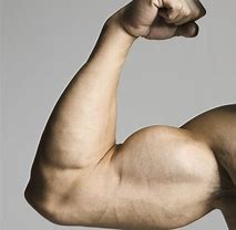 Image result for HEAVILY MUSCLED ARM