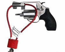 Image result for Rifle Cable Lock