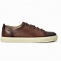 Image result for Gucci Brown Sneakers