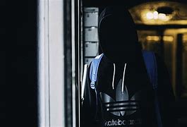 Image result for Adidas Originals Hoodie Pullover