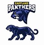 Image result for Panther Mascot