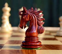 Image result for Chess Knight Art