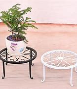 Image result for Plant Supports for Indoor Plants
