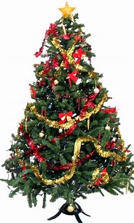 Image result for Xmas Tree PNG