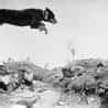 Image result for World War 1 Trench Life