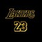 Image result for LeBron James 23 Lakers Hoodie