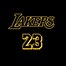 Image result for lakers hoodie lebron james