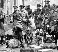 Image result for Gestapo Color