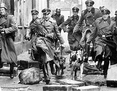 Image result for +Heinrich Muller Gestapo Chief Color