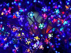 Image result for Hanging Icicle Lights Outdoors