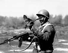 Image result for Iran Iraq War Front Lines