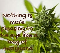 Image result for Weed Quotes Friend