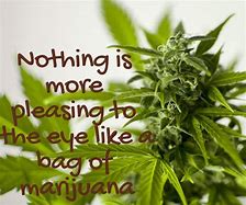 Image result for Weed Love Quotes