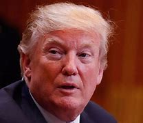 Image result for Trump Hair
