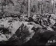 Image result for Katyn Wood Massacre