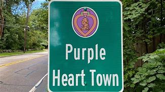 Image result for Vindman Purple Heart