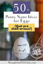Image result for Egg Name Puns