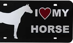 Image result for My Horse