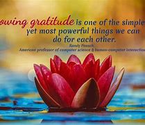 Image result for Start Each Day with Gratitude