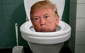 Image result for Trump Toilet Bowl