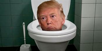 Image result for Flush Trump