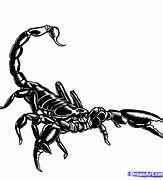Image result for Scorpion Drawing Art