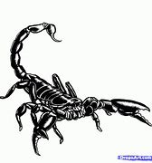Image result for Scorpion Line Art Inverted