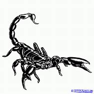 Image result for Cartoon Scorpion Outlines