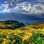 Image result for Apple Wallpaper iPad Nature