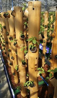 Image result for Bamboo Planters