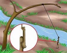 Image result for How to Make a Spring Snare Trap