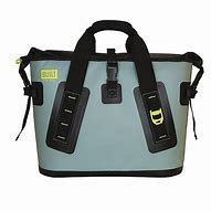 Image result for Brown Bag Insulated Coolers