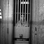 Image result for Colombian Prison