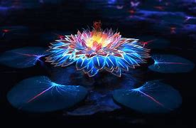 Image result for Glowing Blue Flowers Beautiful