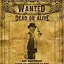 Image result for Wild West Outlaw Wanted Posters