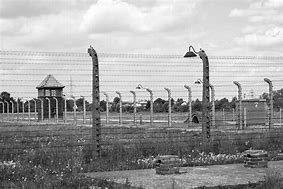 Image result for Banality of Evil Auschwitz Photo Album