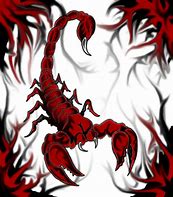 Image result for Red Scorpion Art
