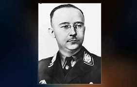 Image result for Heinrich Himmler TNO