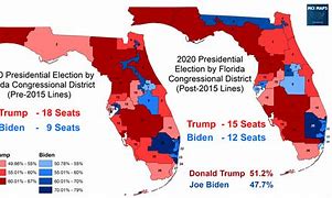 Image result for Florida Election Results by County Map