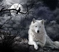 Image result for free wolf wallpapers for kindle fire