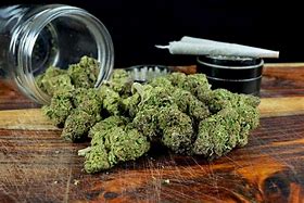 Image result for Give Me My Weed Back