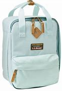 Image result for Ll Bean Lunch Bag
